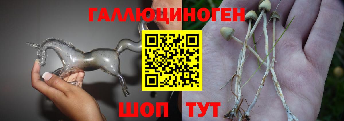 Псилоцибиновые грибы мухоморы  Вход с VPN  Луга  Псилоцибиновые грибы Psilocybe 